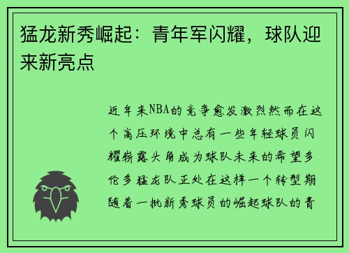 猛龙新秀崛起：青年军闪耀，球队迎来新亮点